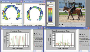 Tekscan paineen mittaus eläinsovelluksissa